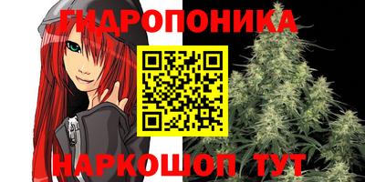 дурь Гусев