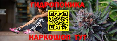 дурь Гусев